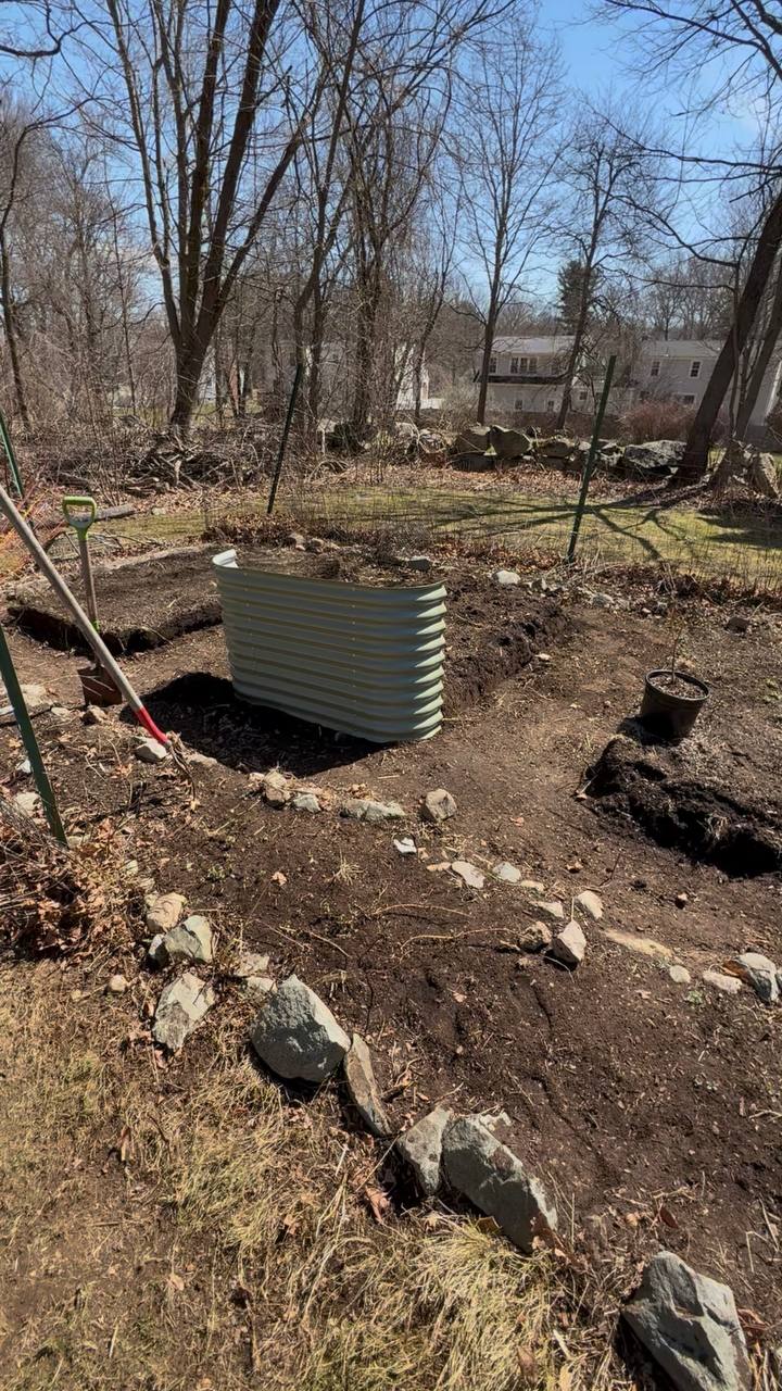 New Birdies raised bed installed in the garden with fresh soil, shovel leaning nearby
