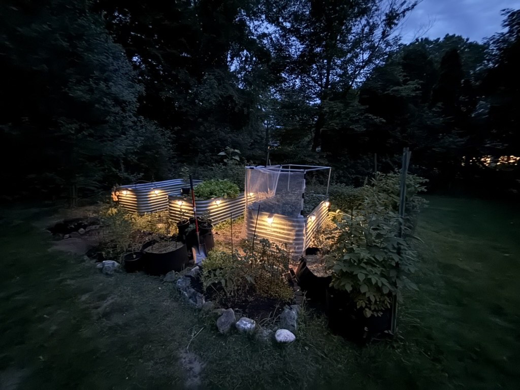 Birdies raised beds at dusk with string lights glowing