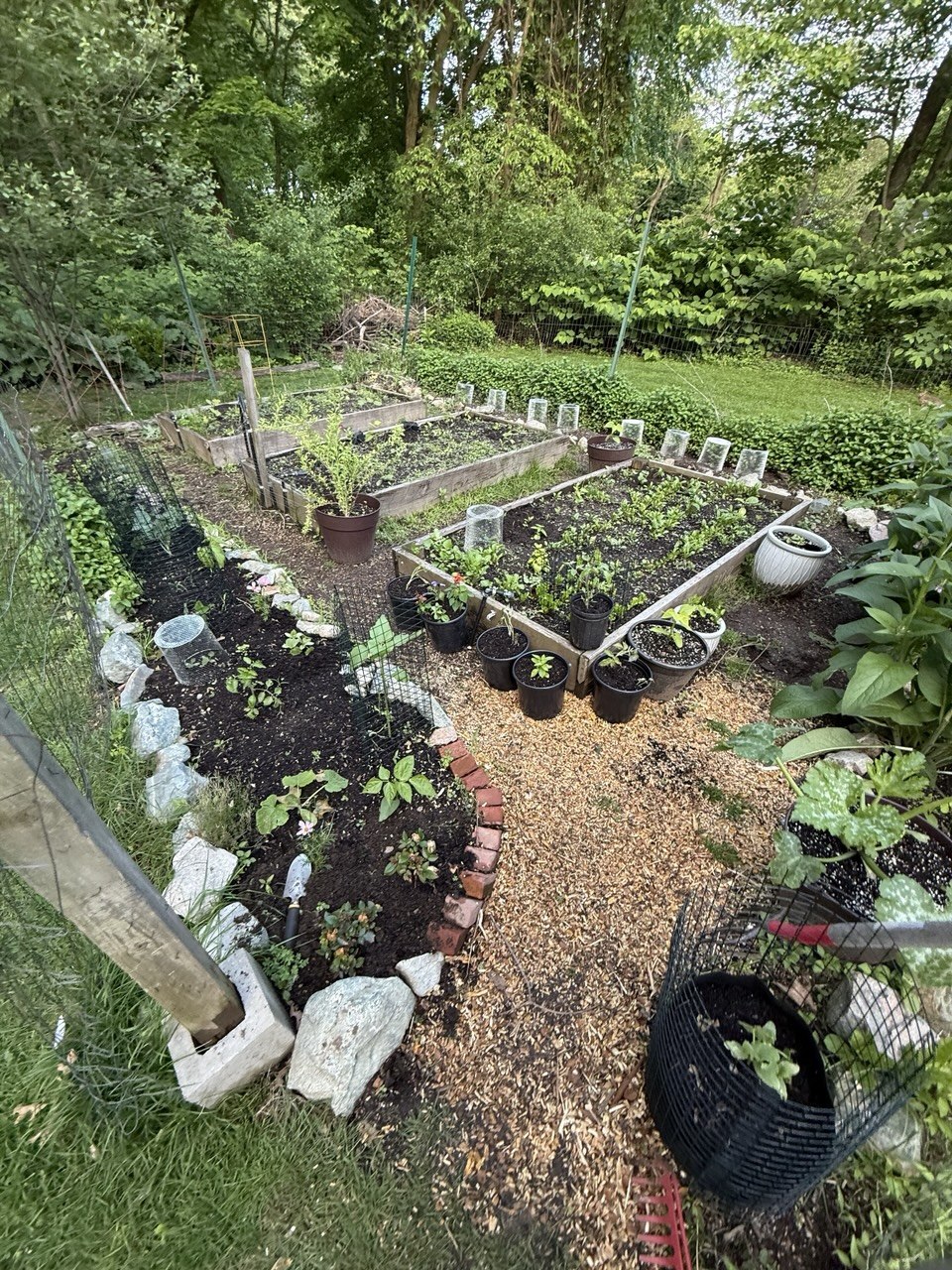 Garden overview in spring