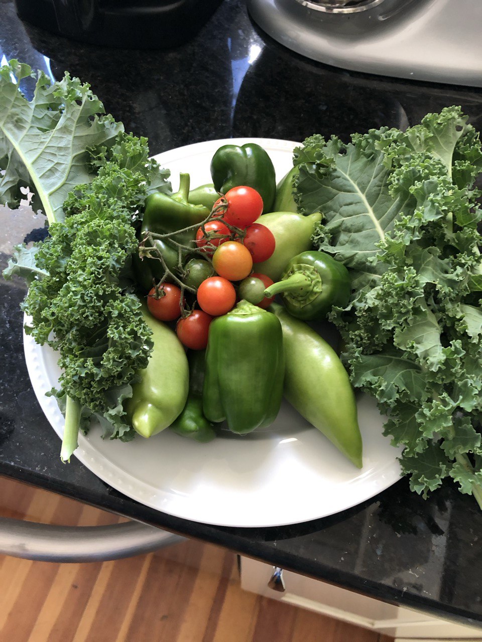 Harvest plate with peppers, tomatoes, and kale