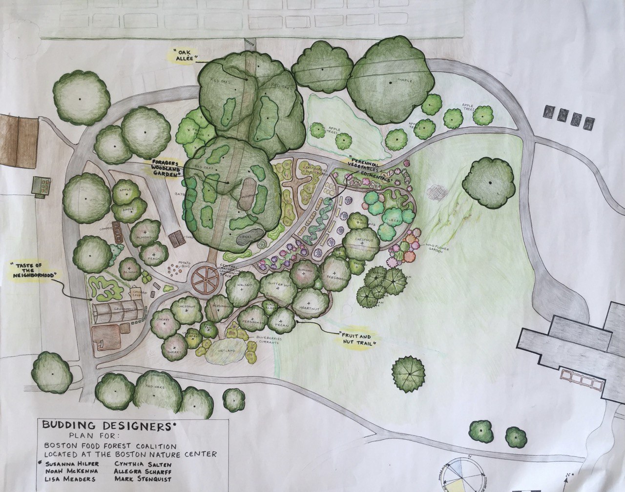 PDC food forest design drawing